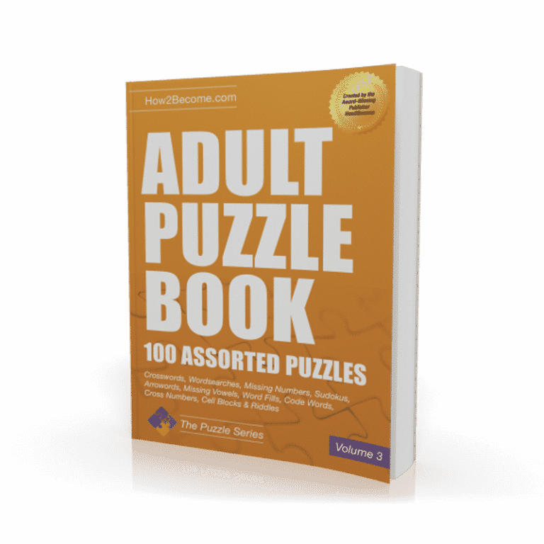 Adult Puzzle Book Volume 3 Workbook How 2