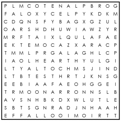 Word Puzzles For Kids - Word Search 5