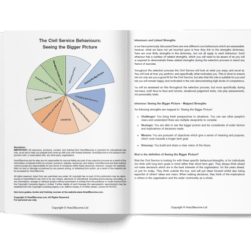 Civil Service Behaviour Seeing the Bigger Picture Download