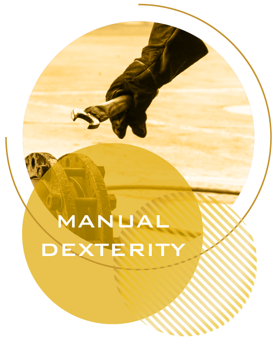How2Become IQ and Aptitude Tests Manual Dexterity