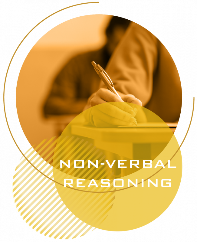 11+ ONLINE TRAINING COURSE NON-VERBAL REASONING