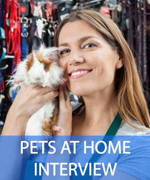 Pets at Home Interview Questions and Answers