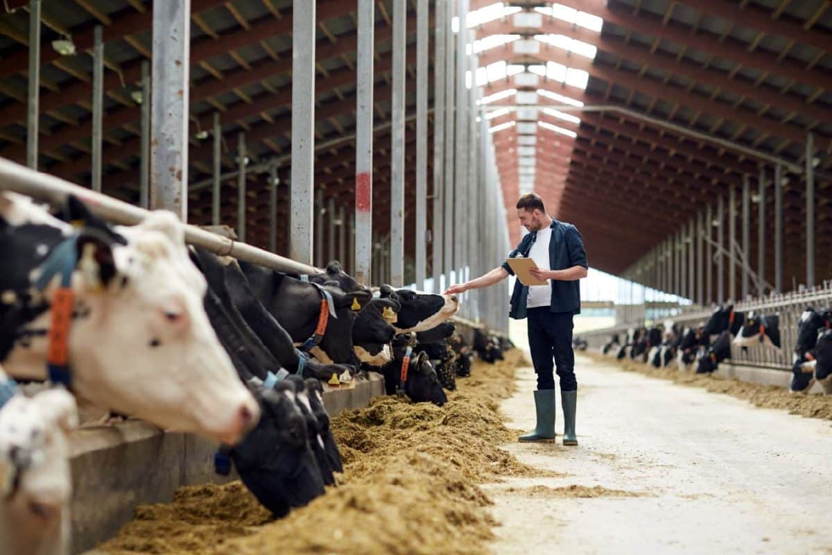 Top 30 Farm Manager Interview Questions and Answers by How2Become