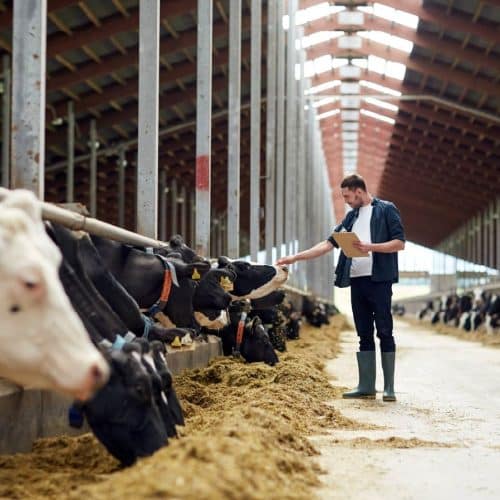 Top 30 Farm Manager Interview Questions and Answers by How2Become