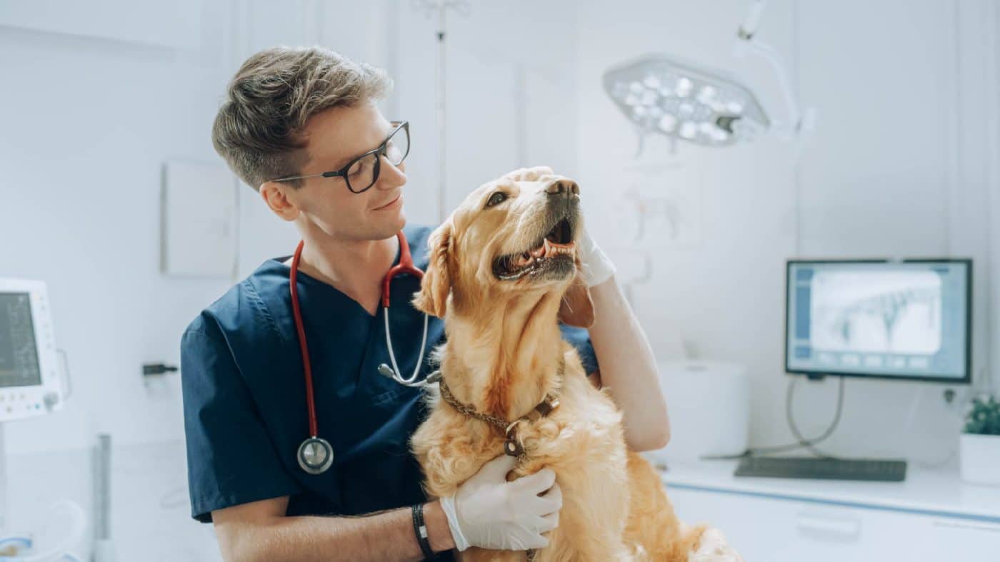 Top 30 Veterinarian Interview Questions and Answers by How2Become